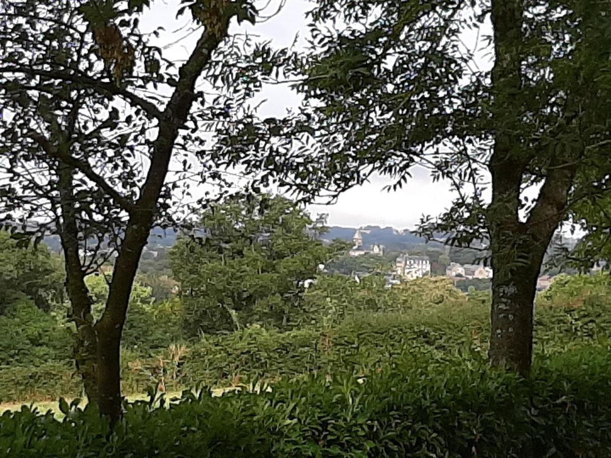 La Palatine A 20 Mn De Rodez Homestay Calmont (Aveyron)
