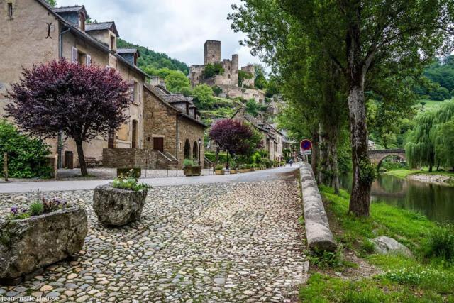 La Palatine A 20 Mn De Rodez Homestay Calmont (Aveyron)